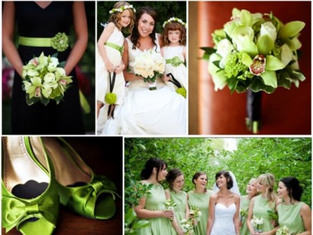 4 bước hướng dẫn chọn màu sắc cho đám cưới (P.1)