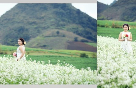 Bộ ảnh cưới đẹp mê mẩn chụp tại Mộc Châu