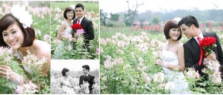 Thông tin dịch vụ Sophia Wedding Studio