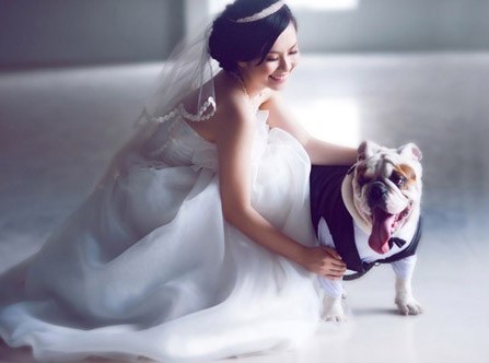  Mốt chụp ảnh cưới với thú cưng