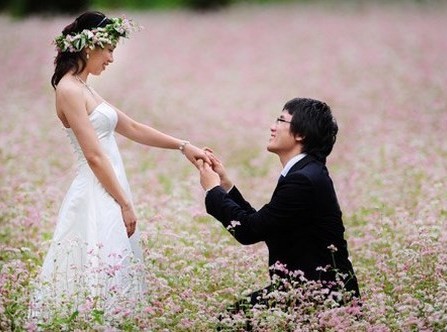 Chụp ảnh cưới cùng hoa tam giác mạch