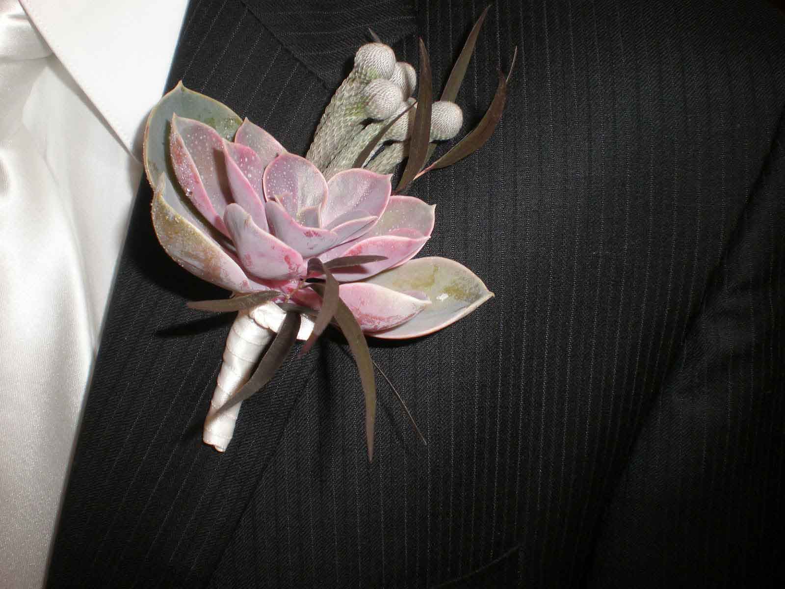 Hoa cài áo chú rể làm từ hoa sen đá và xương rồng