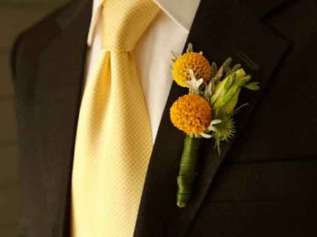Hoa cài áo chú rể kết từ hoa cúc pingpong