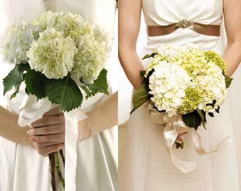 Hoa cưới cầm tay kết từ hoa cẩm tú cầu