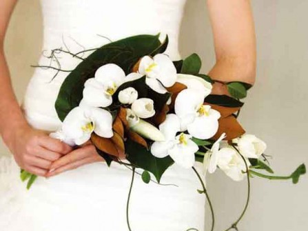 Hoa cưới cầm tay kết từ hoa lan hồ điệp, hoa tulip và dây thường xuân