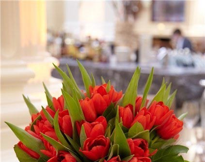 Hoa cưới cầm tay kết từ hoa tulip đỏ sang trọng