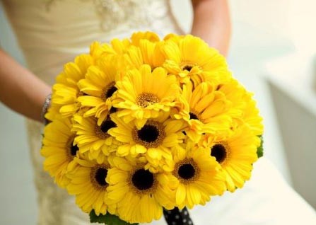 Hoa cưới cầm tay màu vàng kết từ hoa cúc đồng tiền