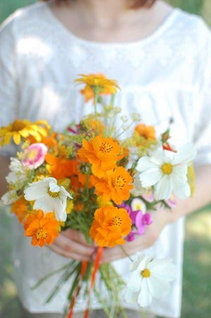 Hoa cưới cầm tay màu cam kết từ hoa cúc đồng nội