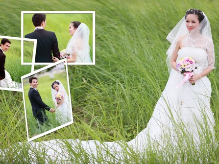 Ảnh cưới đẹp chụp trên cánh đồng cỏ lau.