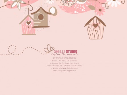 Bảng giá chụp ảnh cưới tại SHELLYSTUDIO