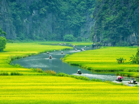 Tour du lịch Hoa Lư Tam Cốc 1 ngày