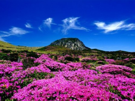 Trăng mật ở thiên đường đảo Jeju