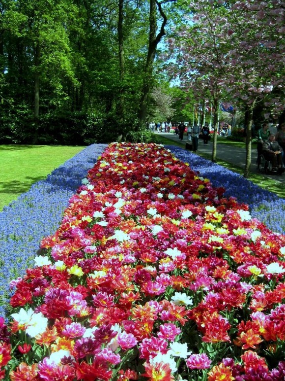 Vườn hoa Keukenhof 