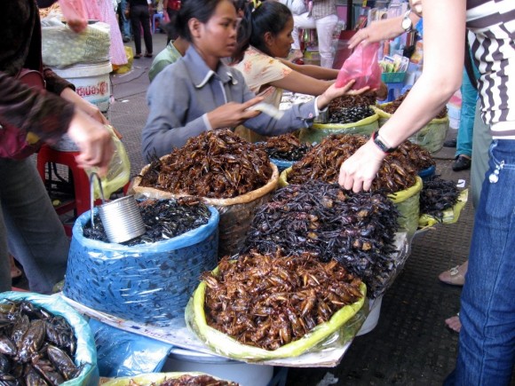 Côn trùng- đặc sản nổi tiếng Campuchia