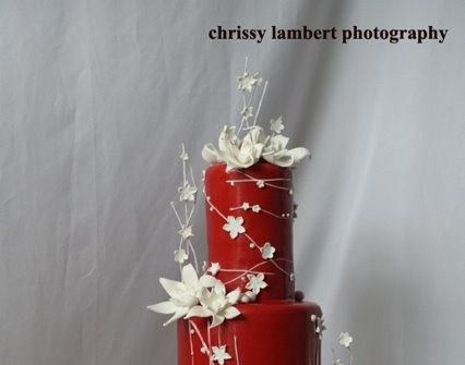 Bánh cưới tròn màu đỏ trang trí hoa dây trắng