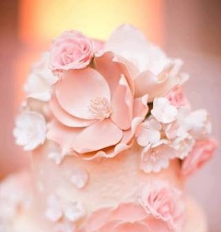 Bánh cưới màu hồng phấn đẹp dịu dàng