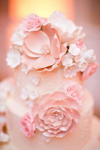 Bánh cưới màu hồng phấn đẹp dịu dàng