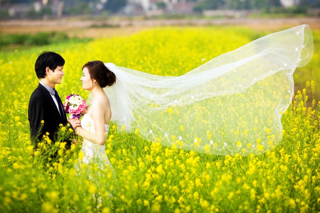Địa điểm chụp ảnh cưới: vườn cải vàng Gia Lâm