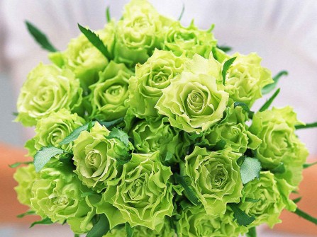 Hoa cưới cầm tay kết từ hoa hồng xanh lá đặc biệt