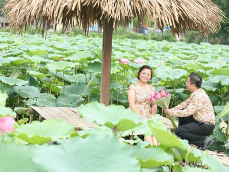 Đầm sen cầu hôn