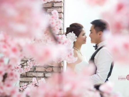 Album Phim Trường The Vow