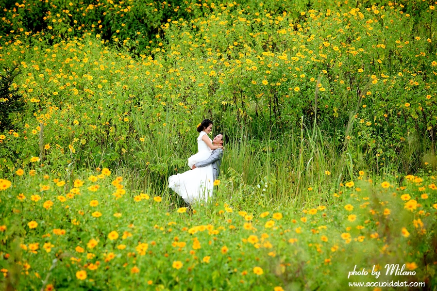 Địa điểm chụp ảnh cưới: Đồi hoa dã quỳ, Đà Lạt