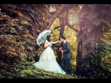 Wedding album: Snow white love story