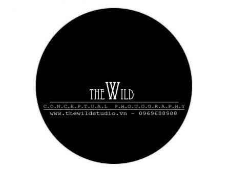 The Wild Studio
