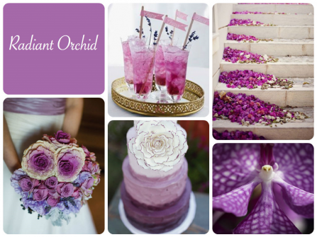 Theme tiệc cưới mùa xuân màu tím Radiant Orchid