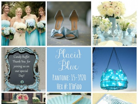 Theme tiệc cưới mùa xuân màu xanh Placid Blue