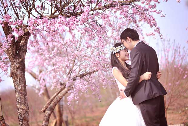 Địa điểm chụp ảnh cưới: vườn hoa Phương Linh - Hà Nội