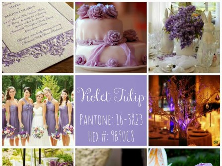 Theme tiệc cưới 2015: Màu tím Violet Tulip