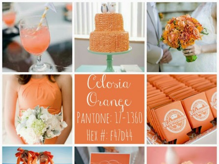 Theme tiệc cưới mùa xuân: Màu cam Celosia Orange