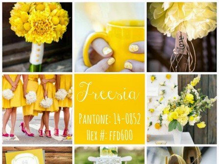 Theme tiệc cưới mùa xuân: Màu vàng Freesia