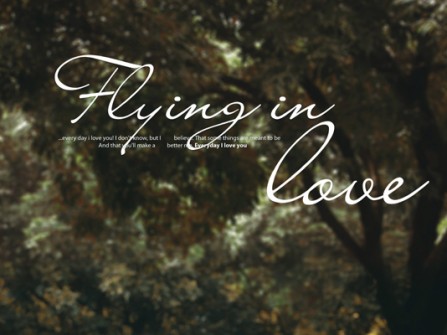 Ảnh cưới  "Flying in love" 