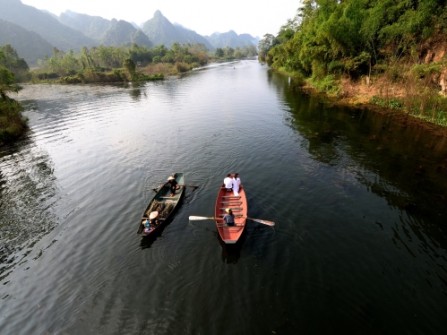 Mèo yêu Dalton nhiều lắm