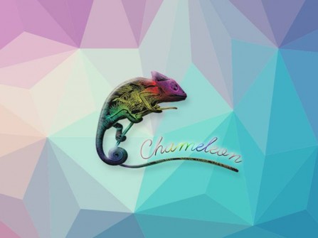 Chameleon Film Vietnam