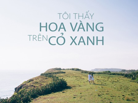 TÔI THẤY HOA VÀNG TRÊN CỎ XANH