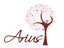 Arius Wedding & Flower