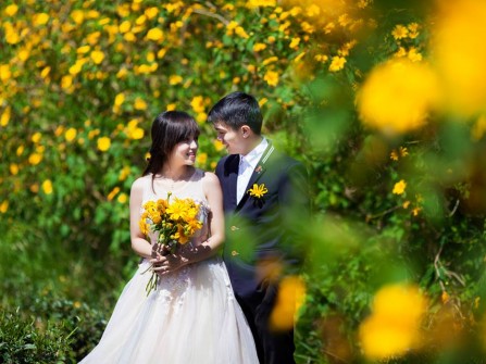 Chụp ảnh cưới đẹp rực rỡ với mùa hoa Dã Quỳ Đà Lạt