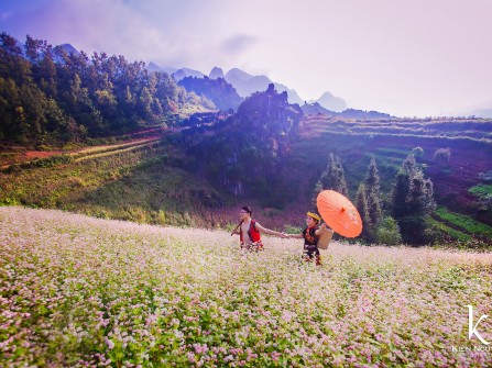 Chụp ảnh cưới Hà Giang 