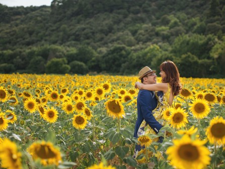 Ảnh cưới hoa oải ương Lavande tại Valensol Miền Nam Pháp