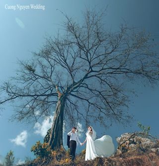 Cuong Nguyen Wedding Studio