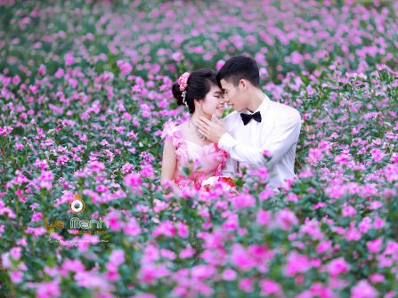 Ảnh Cưới Phim Trường Tràng An Garden