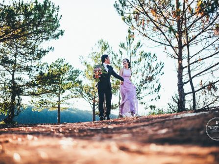 Nguyên - Nhân|Đà Lạt Prewedding