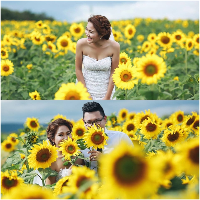 Địa điểm chụp ảnh cưới: Cánh đồng hoa hướng dương, Lâm Đồng