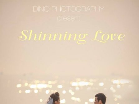 Shinning Love