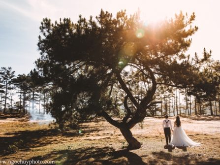 Prewedding Đà Lạt