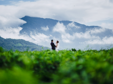 Tươi mát với bộ ảnh cưới đồi chè Đông Giang