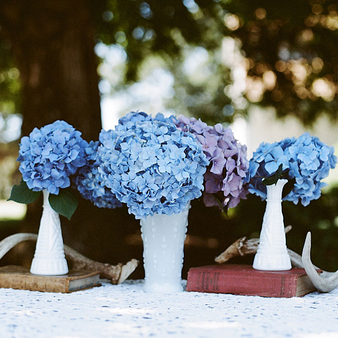hoa cưới cẩm tú cầu trắng xanh 1